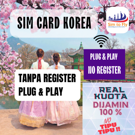 sim-card-korea-selatan